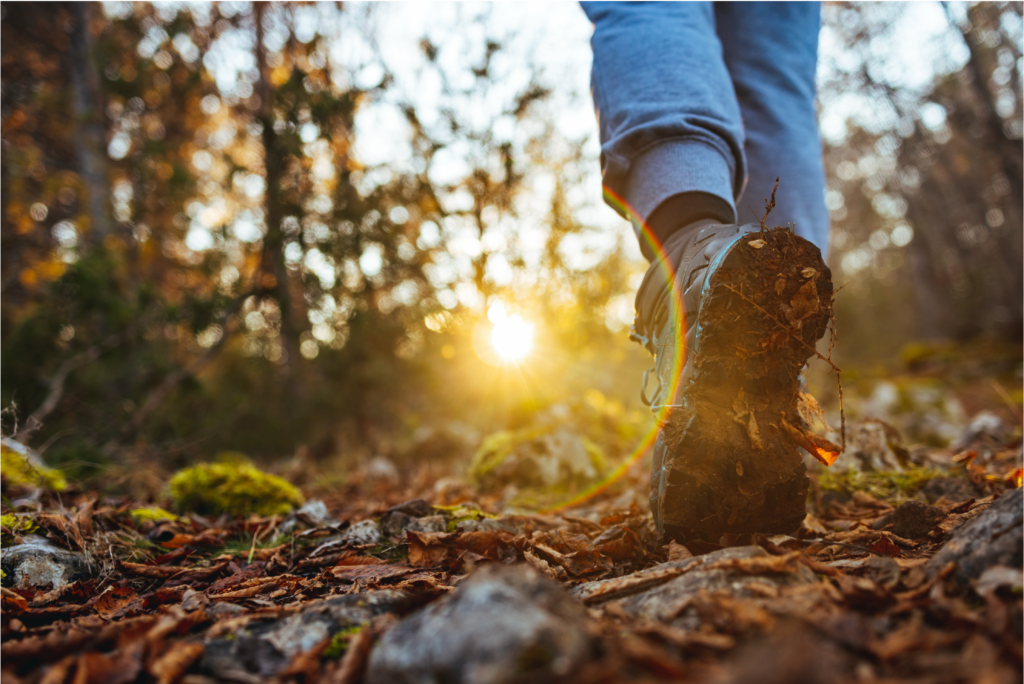 Walking nature